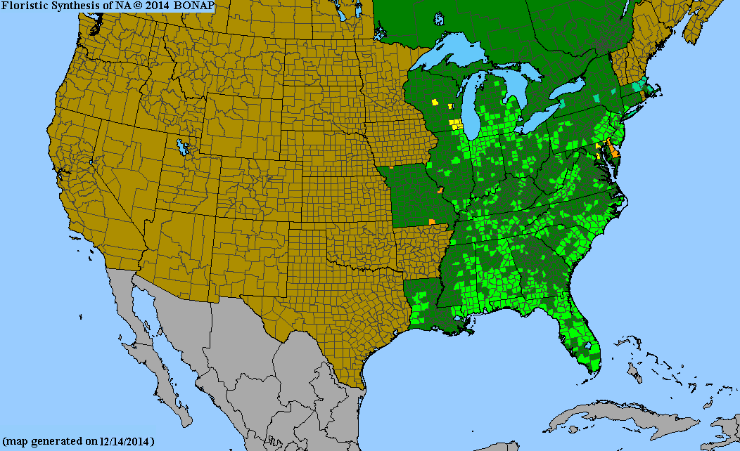 County distribution map of Liatris spicata var. spicata - Dense Gayfeather